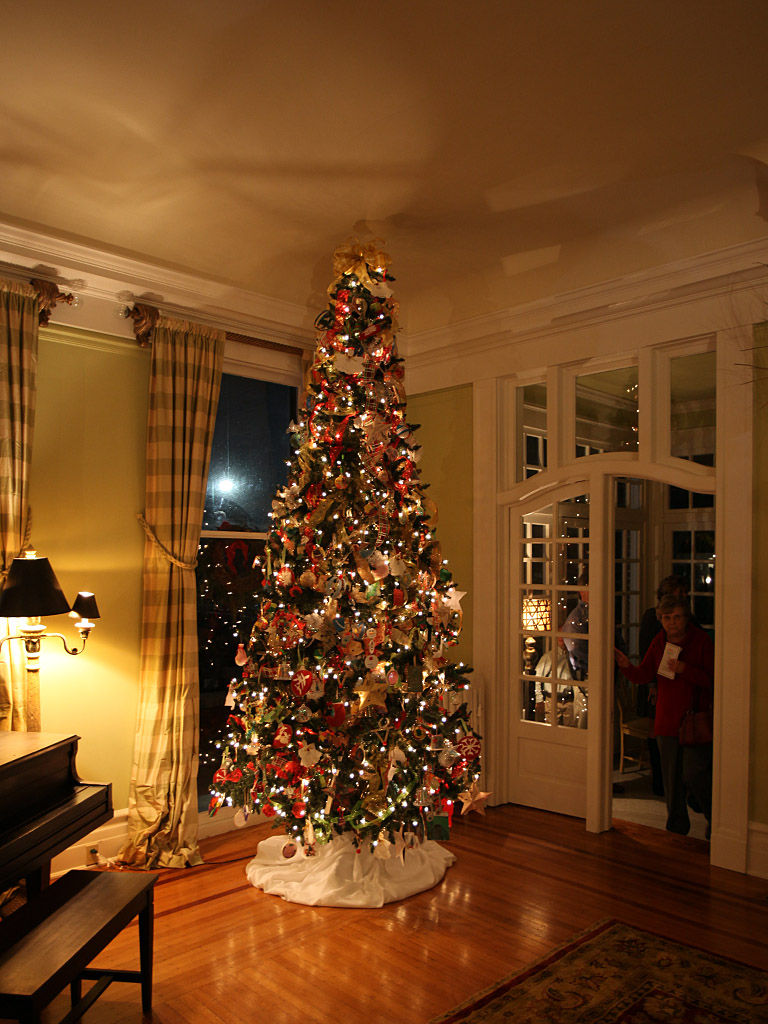 xmas08.jpg