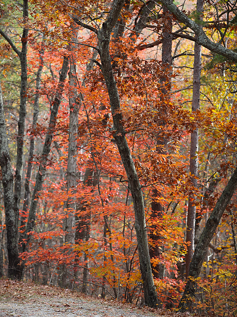 fall12-03.jpg
