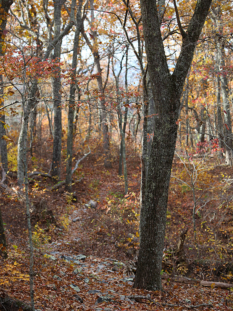 fall12-05.jpg
