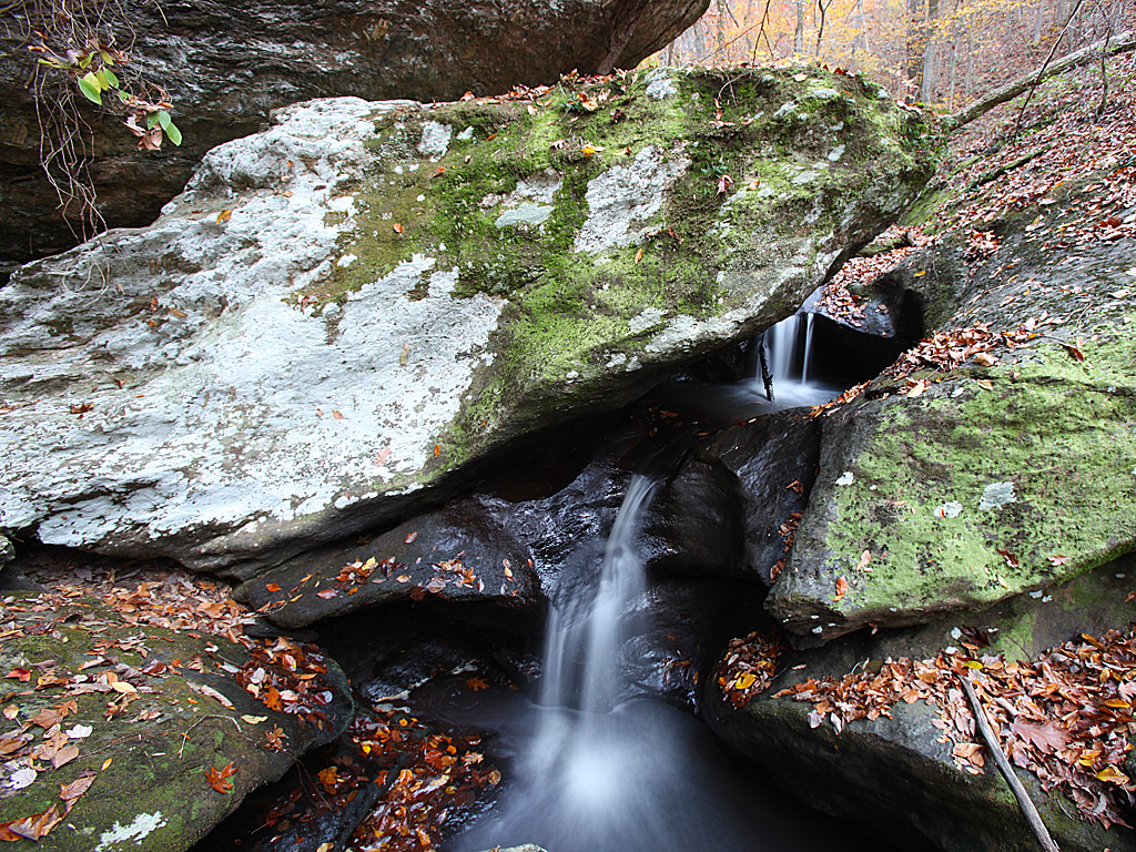 fall12-11.jpg
