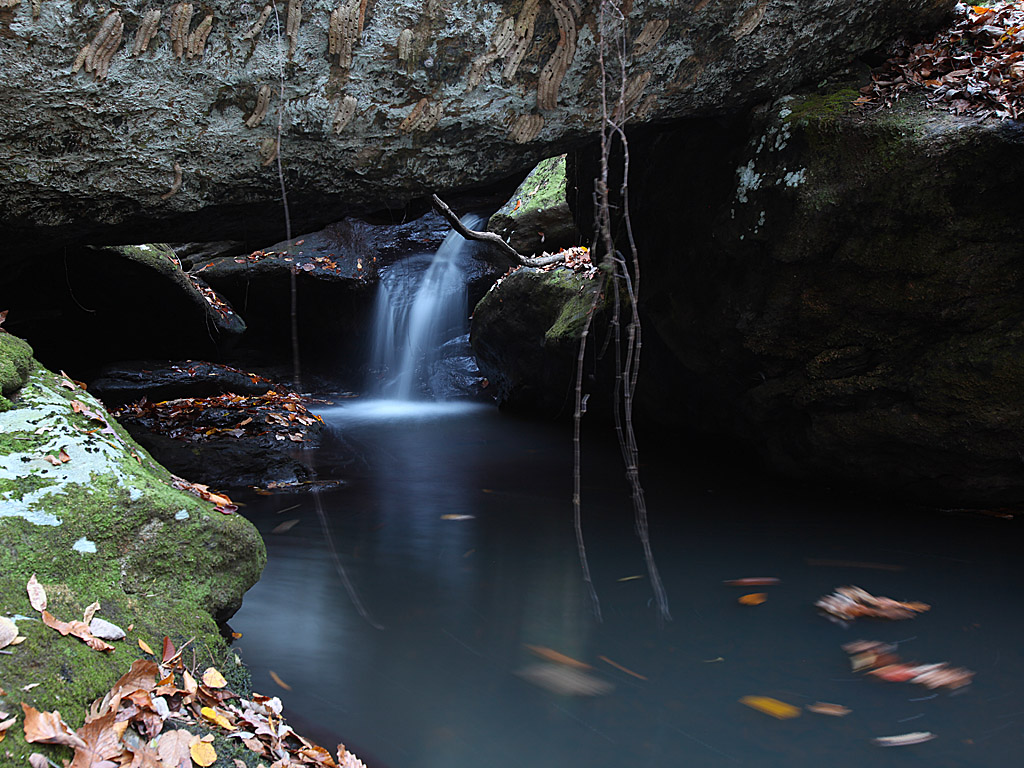 fall12-12.jpg