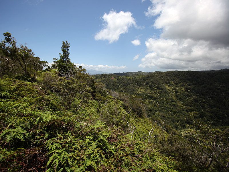 hawaii11.jpg
