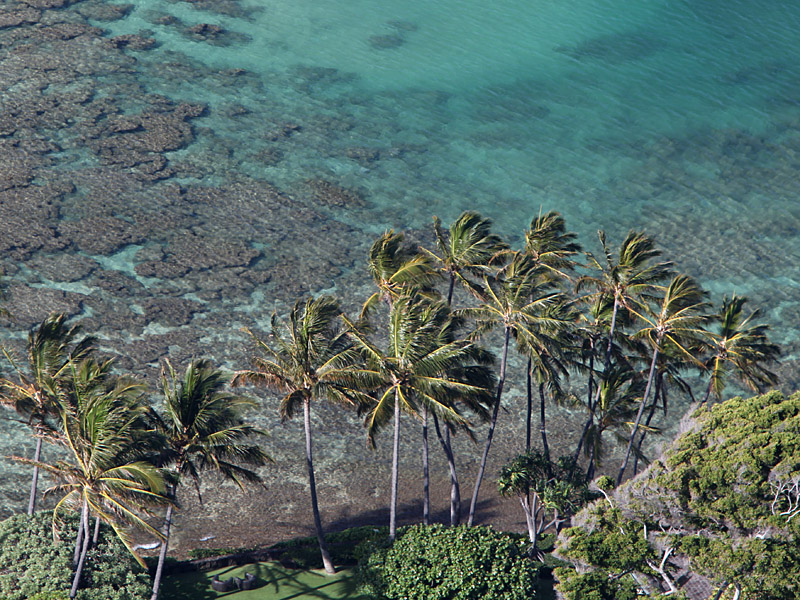 hawaii38.jpg