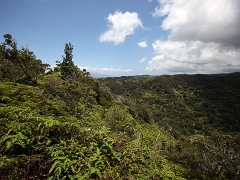 hawaii11