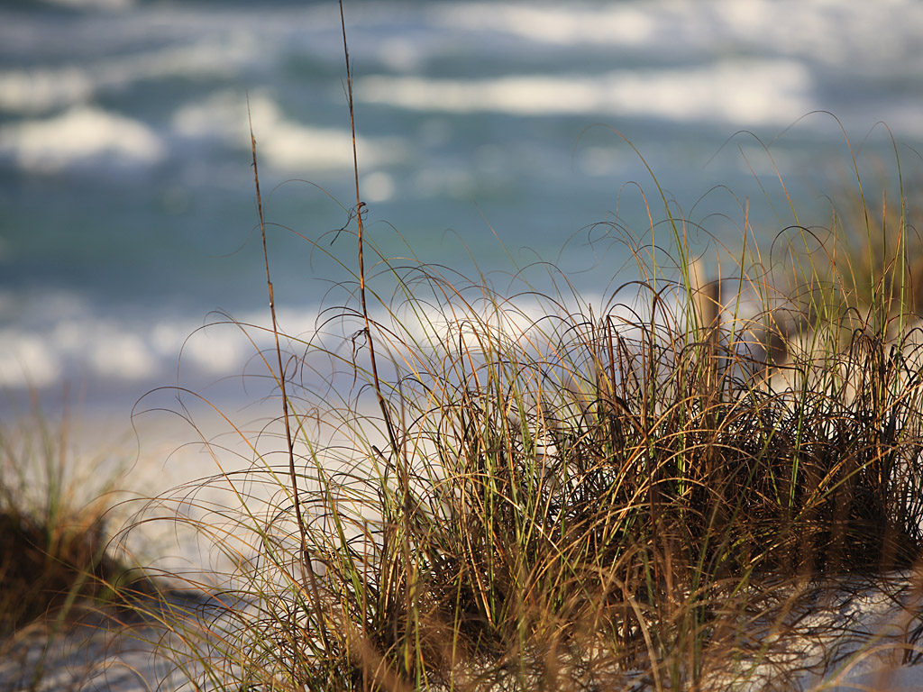beach06.jpg