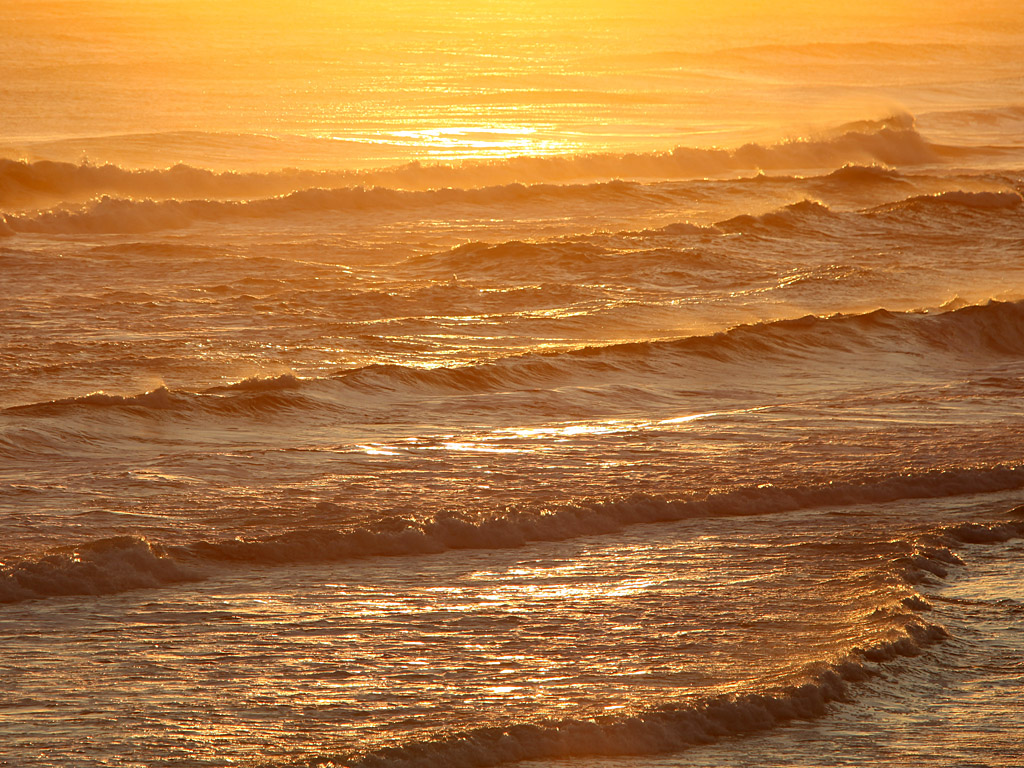 beach11.jpg