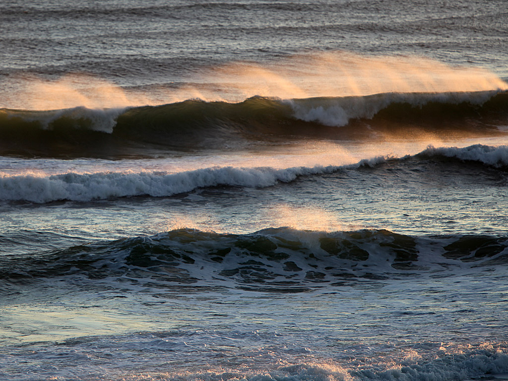 beach12.jpg