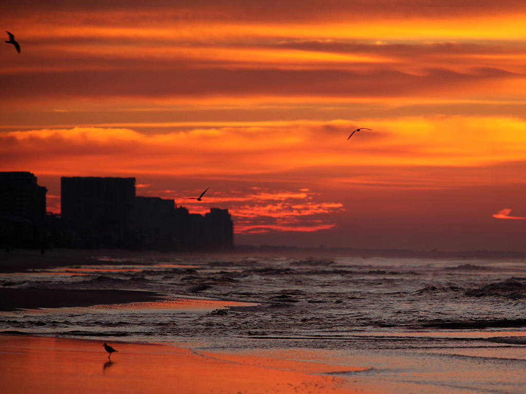 beach17.jpg