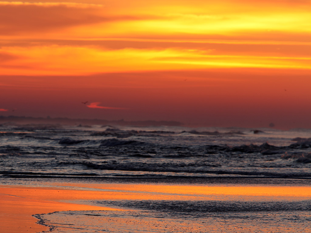 beach19.jpg