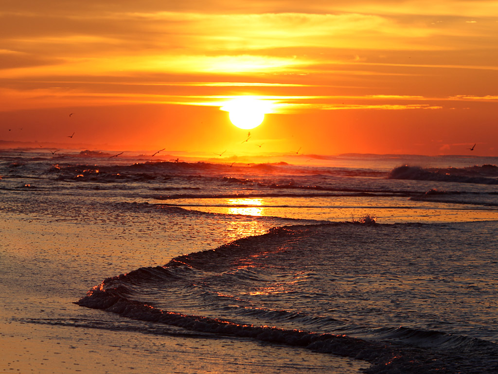 beach20.jpg
