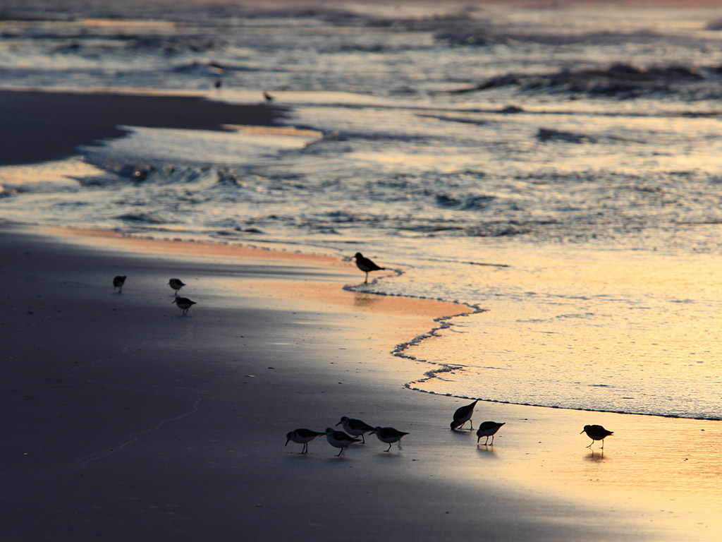 beach23.jpg