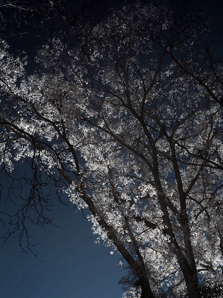 ir01.jpg