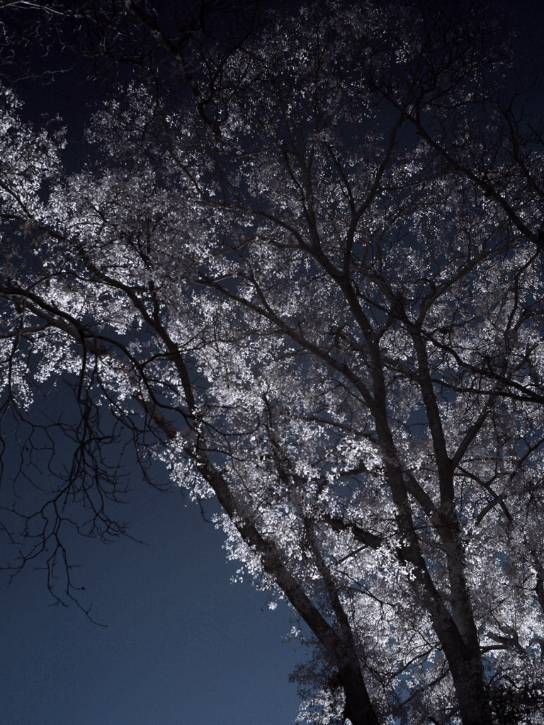 ir01a.jpg