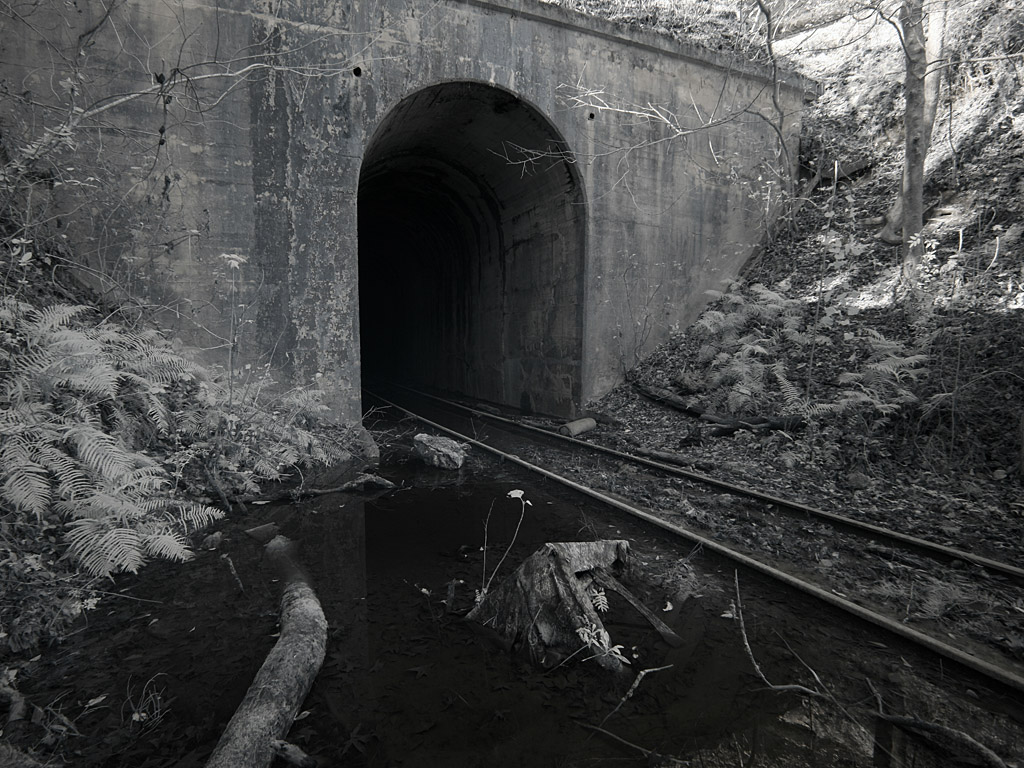 tunnel1.jpg
