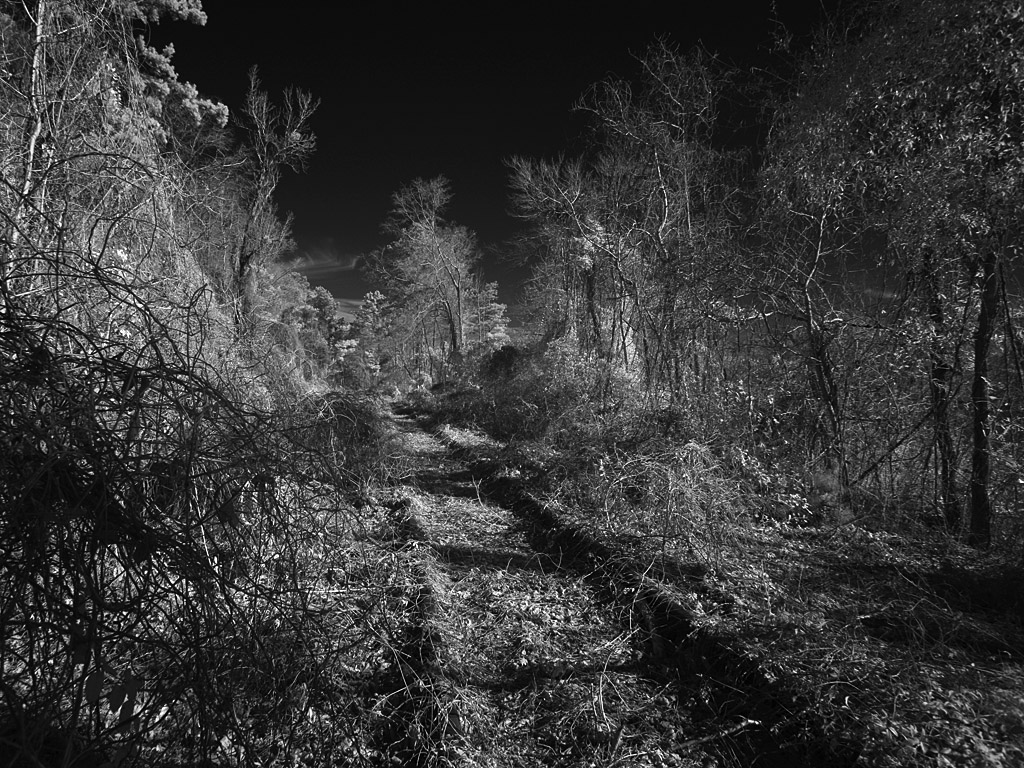 tunnel6.jpg