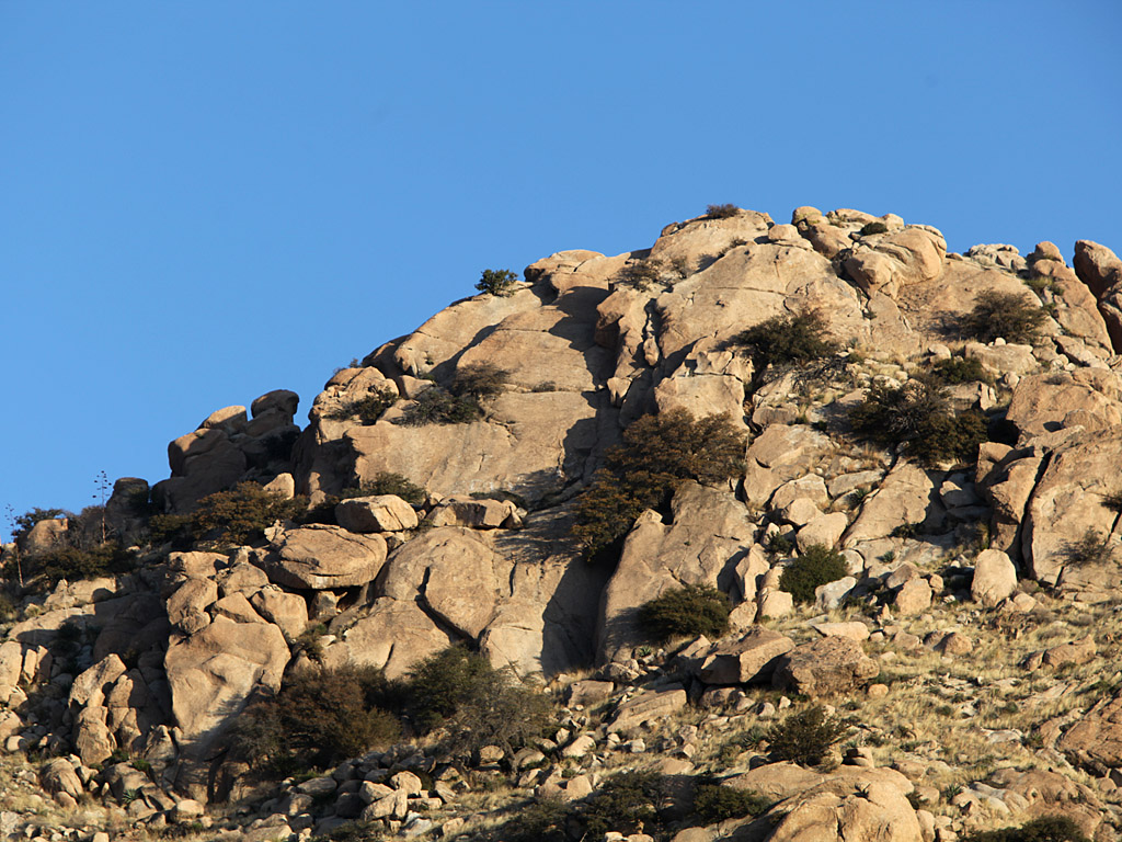 az13-06.jpg