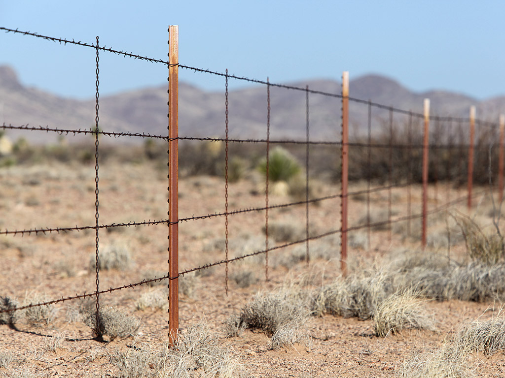 az13-09.jpg