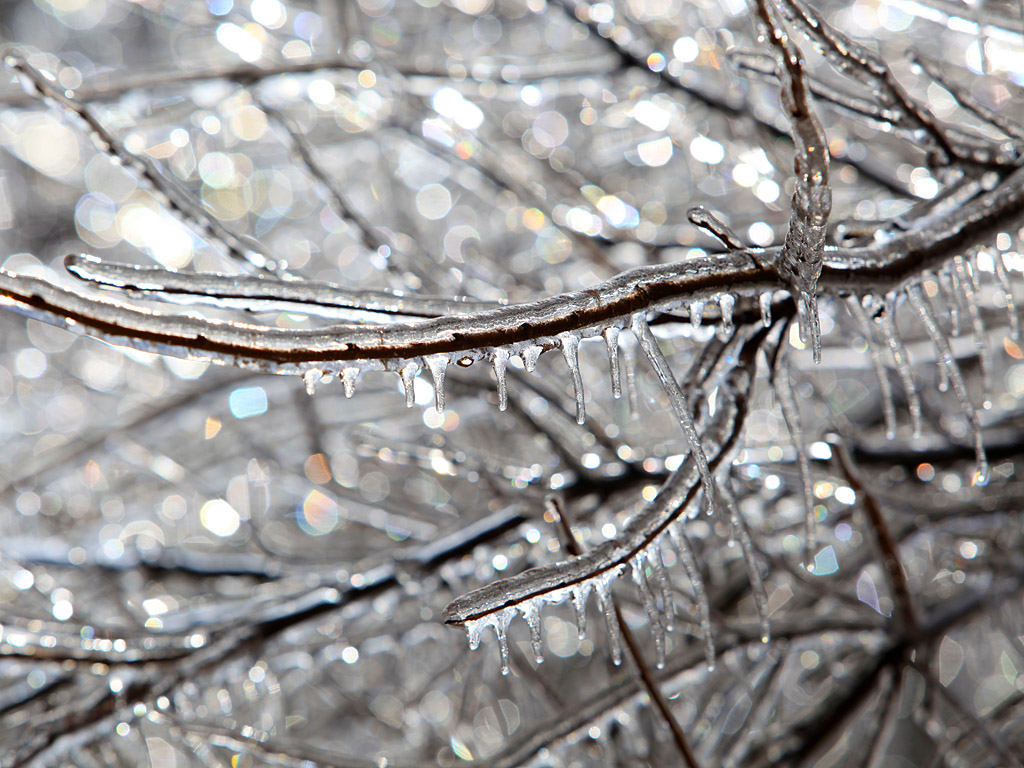icy03.jpg