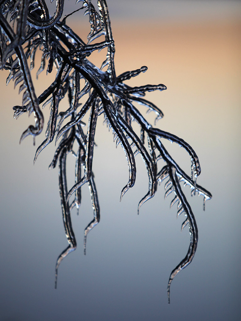 icy26.jpg