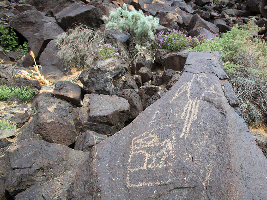 petroglyph02.jpg