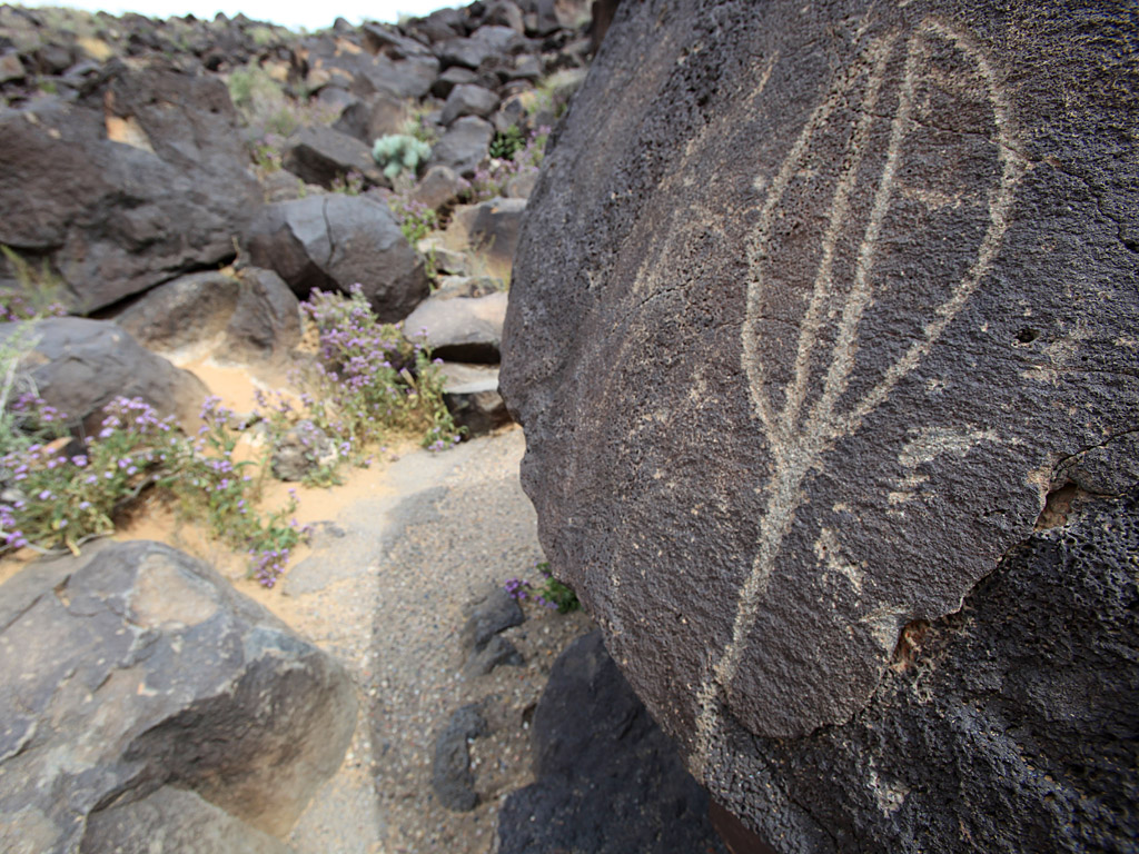petroglyph03.jpg