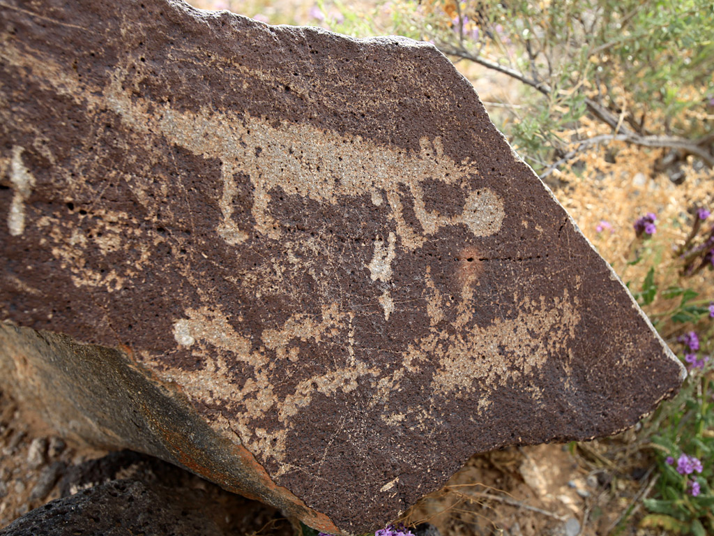 petroglyph05.jpg