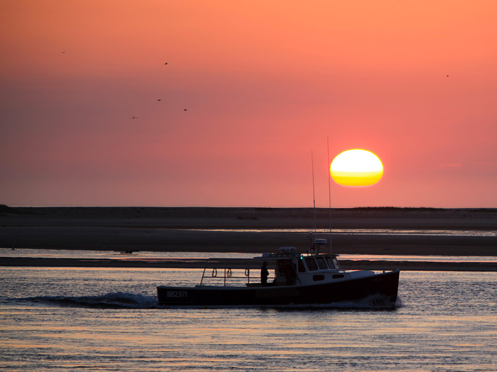 capecod11a.jpg
