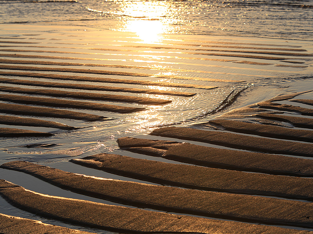 capecod19.jpg