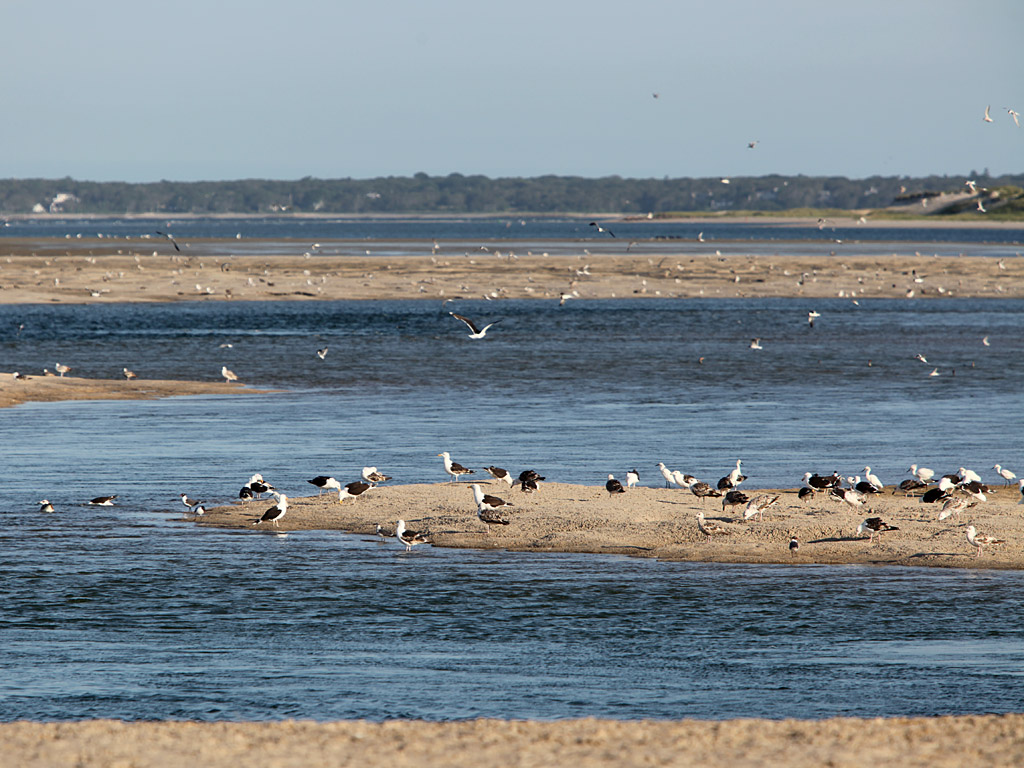 capecod33.jpg