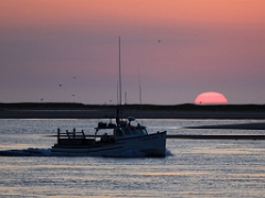 capecod11