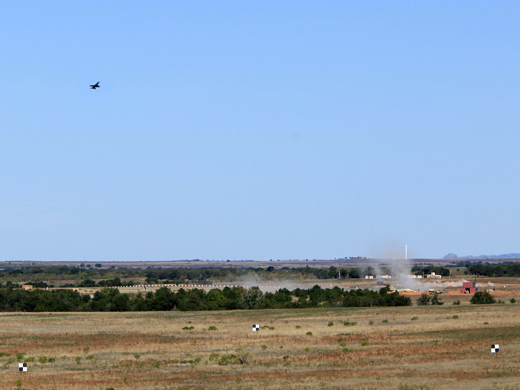 falcon05.jpg