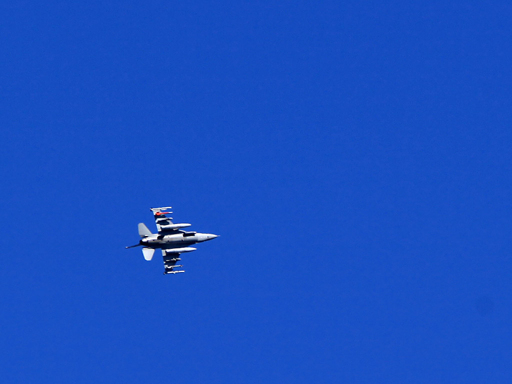 falcon06.jpg