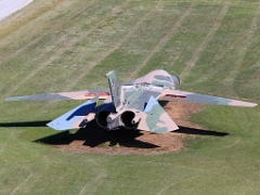 falcon01