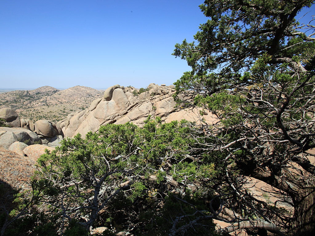 elk07.jpg