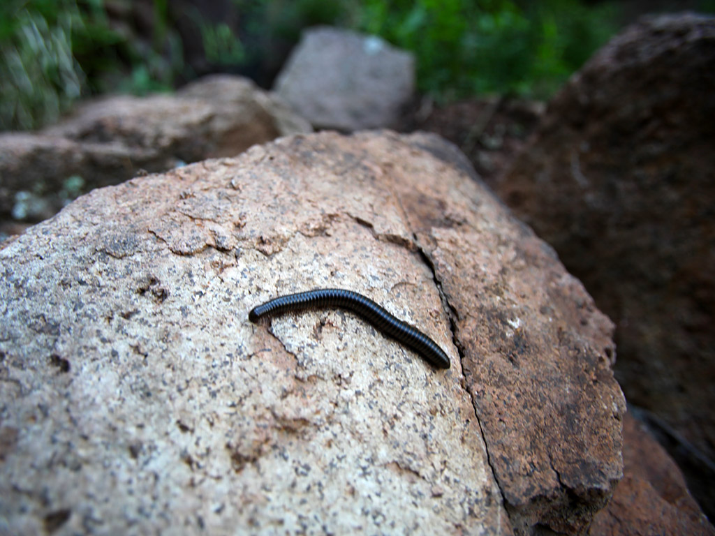 narrows11.jpg
