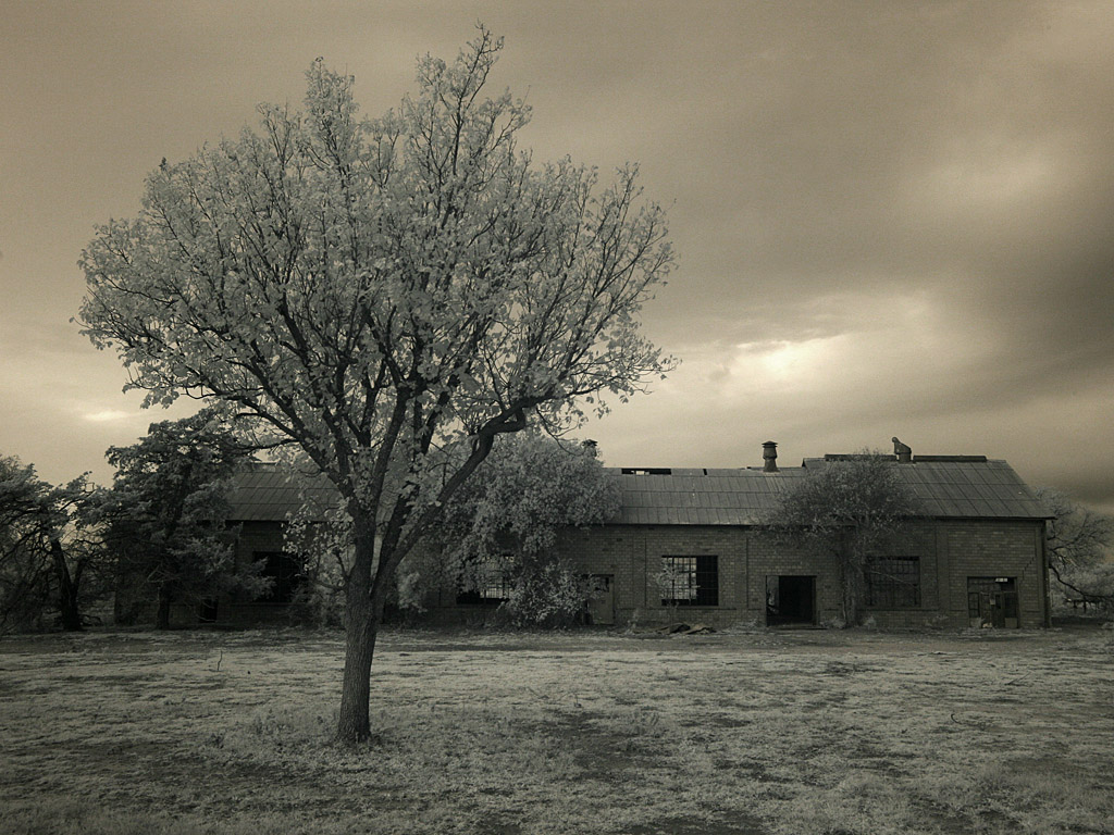 okfall01.jpg