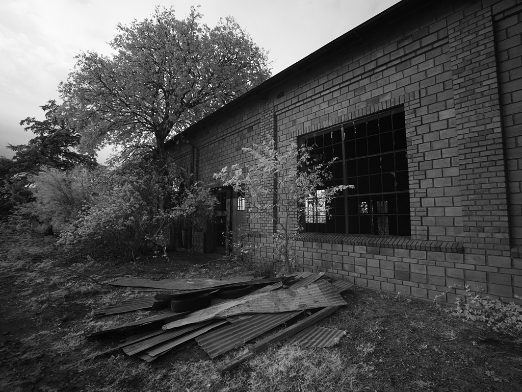 okfall02.jpg