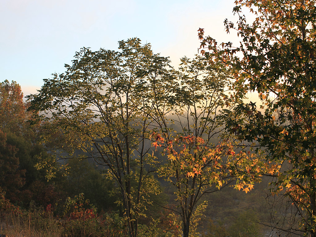okfall09.jpg