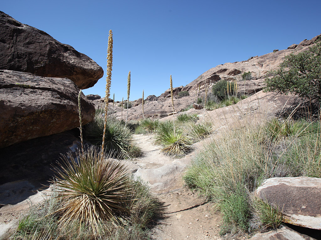 hueco01.jpg