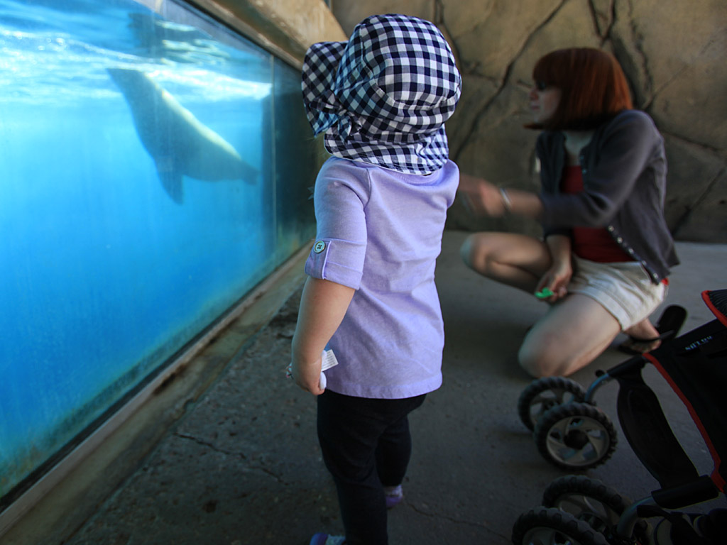 zoo07.jpg