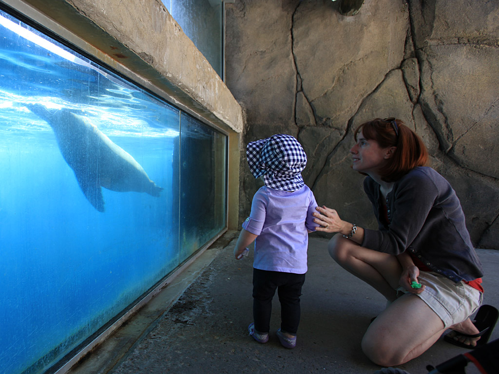 zoo08.jpg