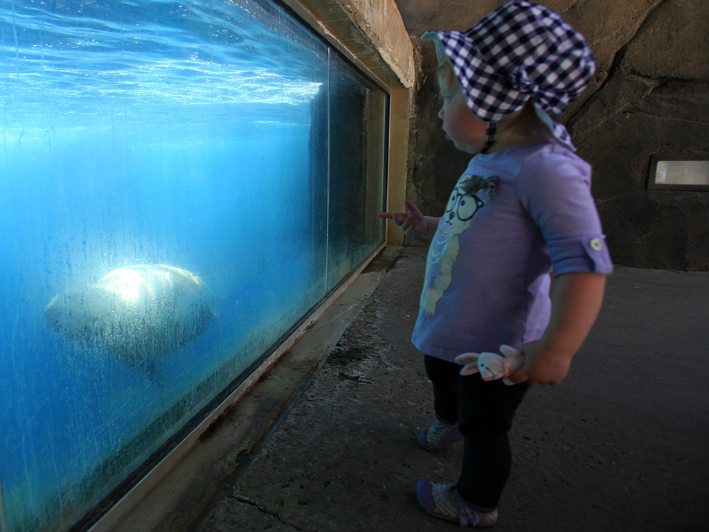 zoo09.jpg