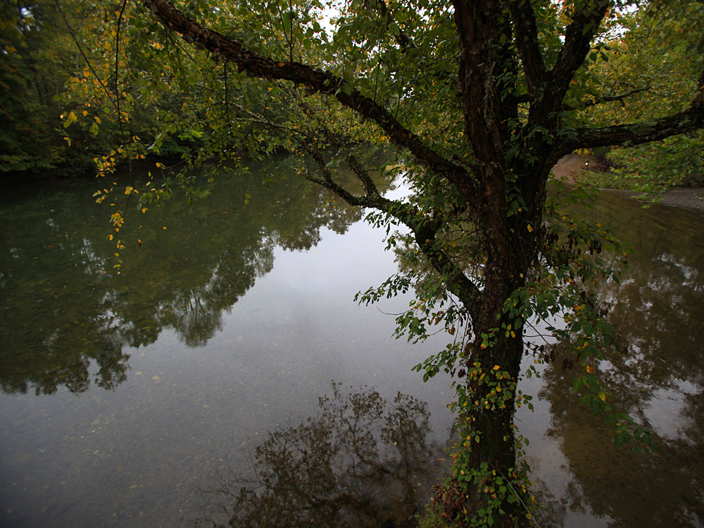 bridge3.jpg