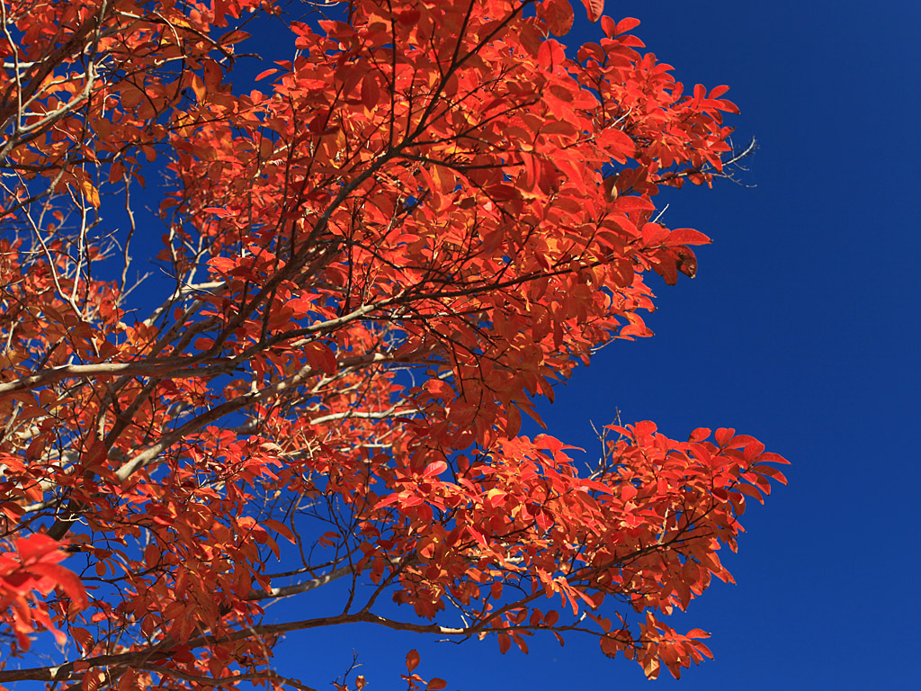 gardens01.jpg