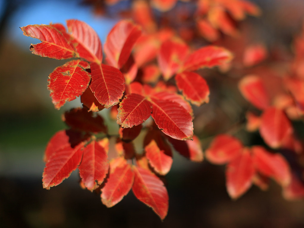 gardens02.jpg