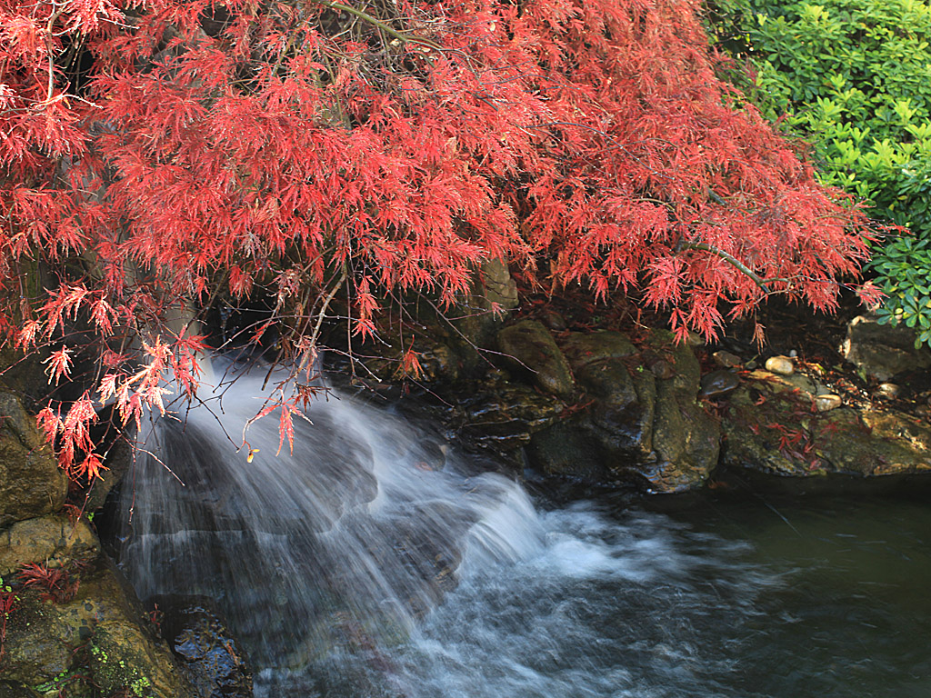 gardens03.jpg
