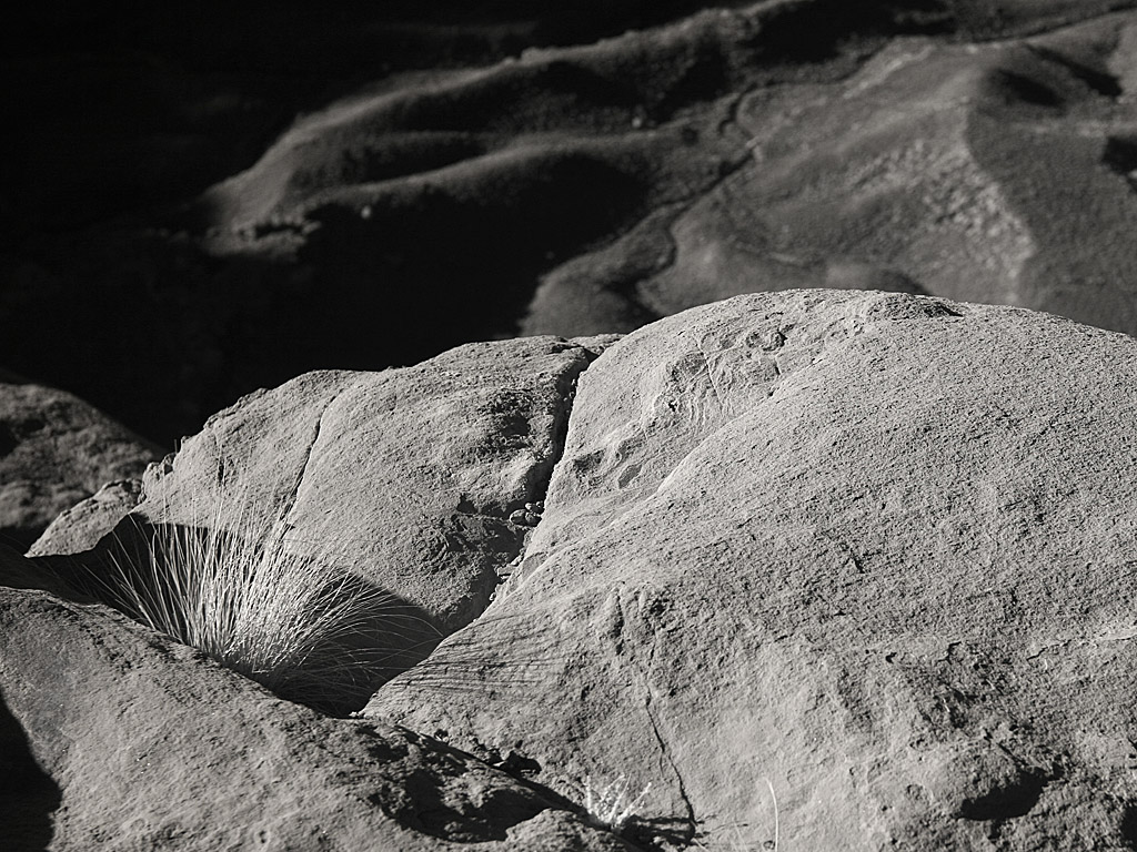 canyonlands10.jpg