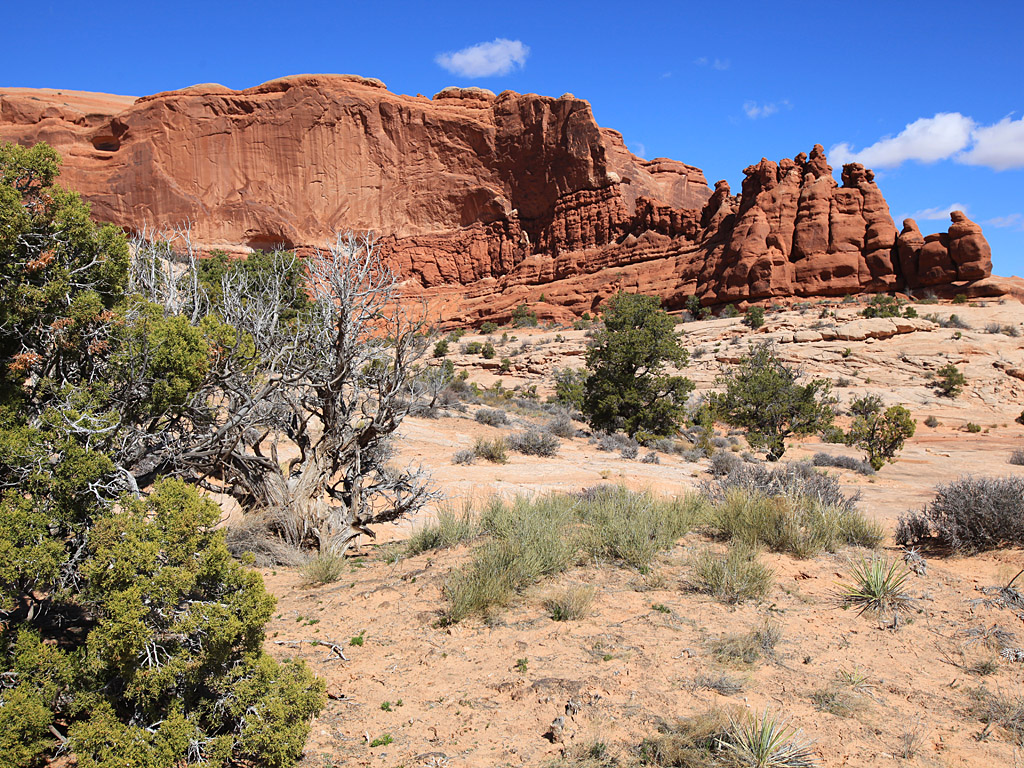redrock.jpg