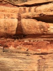 kachina1