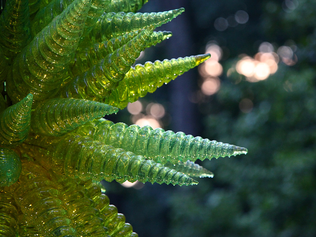 gardens04.jpg